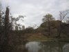 IMG_0560.JPG