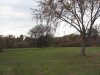 IMG_0565.JPG