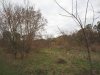 IMG_0570.JPG