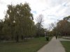 IMG_0654.JPG