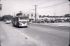 Hollinger Bus-Woodbine 1954.jpg