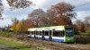 Tram_in_Lloyd_Park,_Croydon_-_geograph.org.uk_-_1188255.jpg