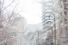 snowdayDavisville_72dpi-5.jpg