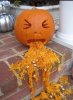 Pumpkin barf.JPG