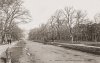 postcard-toronto-university-ave-queens-park-in-distance-carriage-note-fire-hydrant-when-a-tree-l.jpg