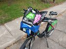 IMG_20210924_171748 bikeshare grocery.jpg