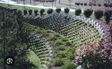 IMG_4884.jpeg