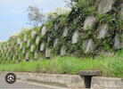 IMG_4881.jpeg
