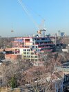 PXL_20250327_124950138.jpg