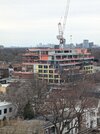PXL_20250328_161807025.jpg