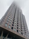 IMG_7099.JPG