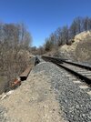IMG_8943.jpeg