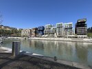 IMG_8042.jpg