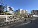 IMG_8032.jpg