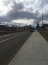 IMG_3349.jpeg