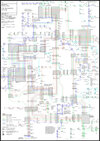 IMG_8495.jpeg