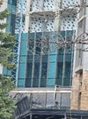 20250422_115236.jpg