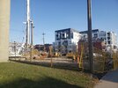 20250424_075101.jpg