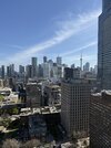 IMG_1984.jpg