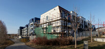 IMG_8455_8459exp.jpg