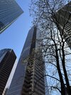 IMG_1932.jpeg