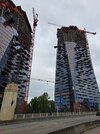 20250427_124559.jpg