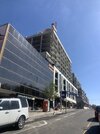 IMG_7447.JPG