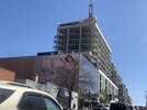 IMG_7445.JPG
