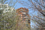 IMG_7076.JPG