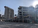 PXL_20250509_150430623.jpg
