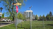 signal-2025-05-19-17-31-43-181.jpg