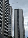 IMG_5412.jpeg