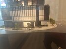 IMG_8184.jpeg