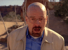 goddamniteglintolrt.gif
