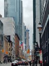 IMG_20250523_131005.jpg