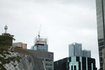 IMG_7337 copy.jpg