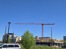 20250528_115513.jpg