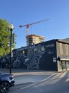 IMG_6334.jpeg
