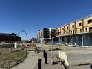 IMG_2355.jpeg