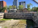 IMG_8280.jpeg