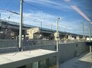 IMG_2531.jpg