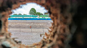 ontarioline-058.jpg