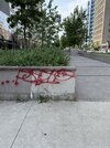 IMG_5183.jpeg