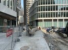 IMG_8720.jpeg