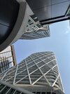IMG_8718.jpeg