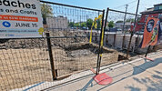 chinalily-075.jpg