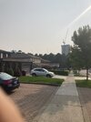 IMG_2418.jpeg