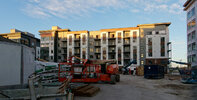 IMG_0984exp.jpg