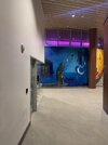 IMG_2845.jpeg