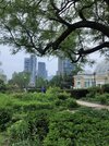 thumbnail_IMG_7211.jpg